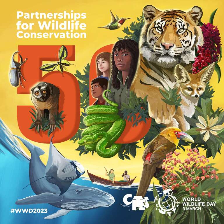 今（2023）年的主题是「野生动植物保育夥伴关系」，邀请大家一起为曾对野生动植物做出贡献的人致敬（图片来源：www.wildlifeday.org，作者：Xavi Reñé ）