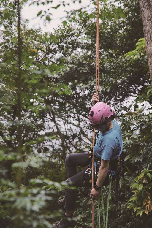 善用绳结、扣环并配戴安全帽，在攀树师陪同下，任何人都可以安全地进行攀树活动。（摄影／黄政达） (2)