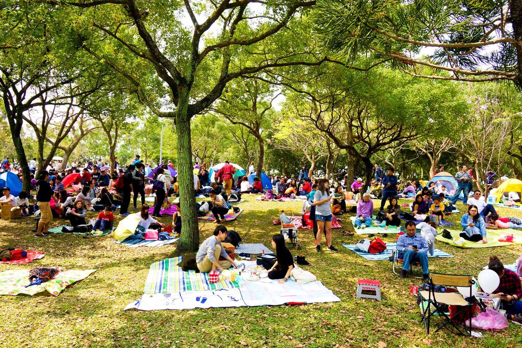 邀请大家一同来大安森林公园野餐
