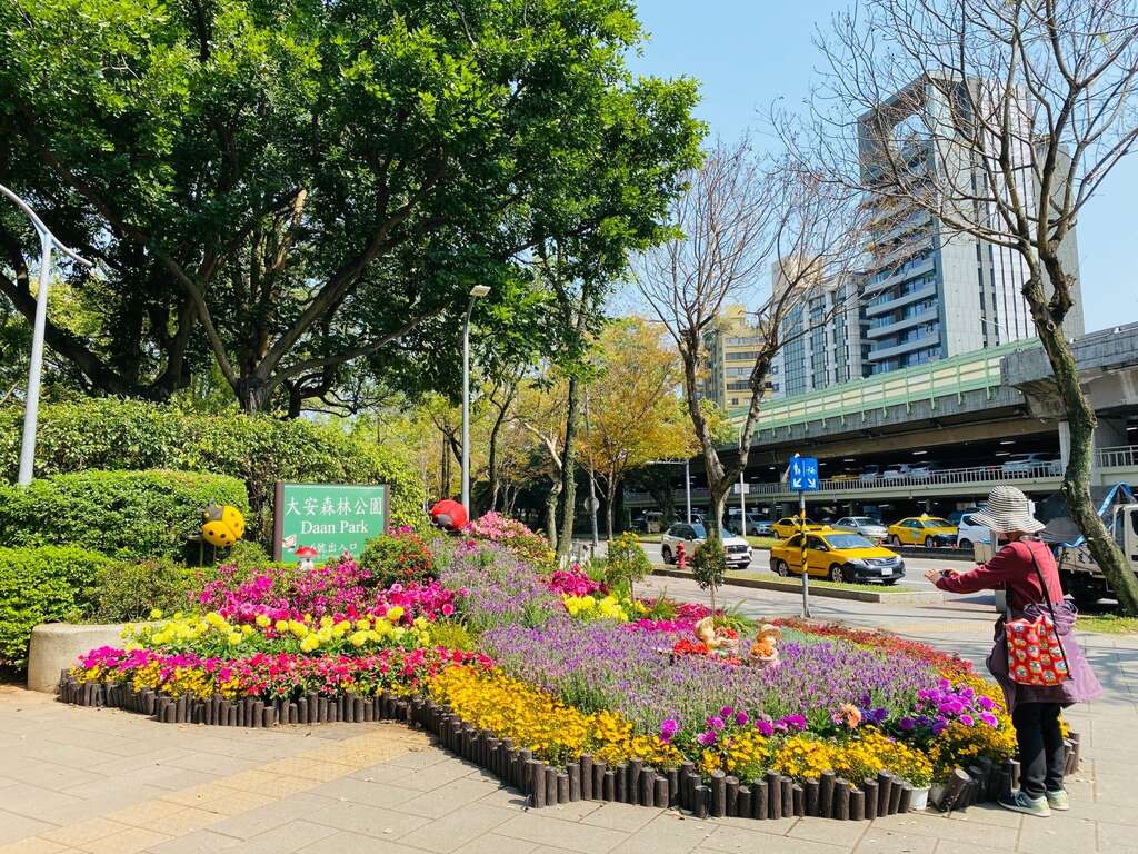 游客采景之一隅(图片来源：台北市政府工务局公园路灯工程管理处)