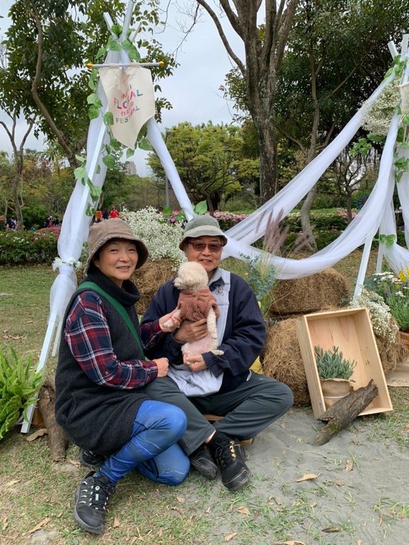 民众开心拍照打卡。