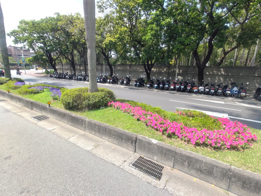 由草花与灌木组成的曲线型植栽设计-中山南路(图片来源：台北市政府工务局公园路灯工程管理处)