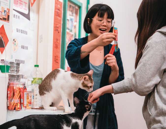 猫婆婆示范在掌心、指腹抹点心喂食猫咪，让猫咪一边舔手也熟悉你的味道。（摄影／邹保祥）