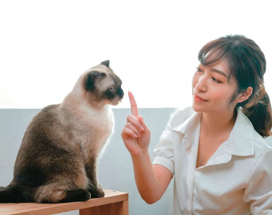 透过毛孩的眼光看世界,你可能会有大发现。(图/单熙汝)