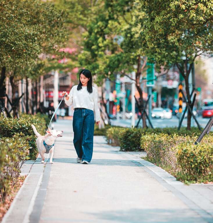 让我们带着毛孩,在城市里自由探索,收集情感升温的时刻,映照名为爱的生活光谱。(摄影/邹保祥)