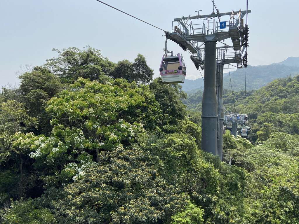 TCAP Introduces Buy-1-get-1 Pass Promotion Campaign for TCAP, Maokong Gondola