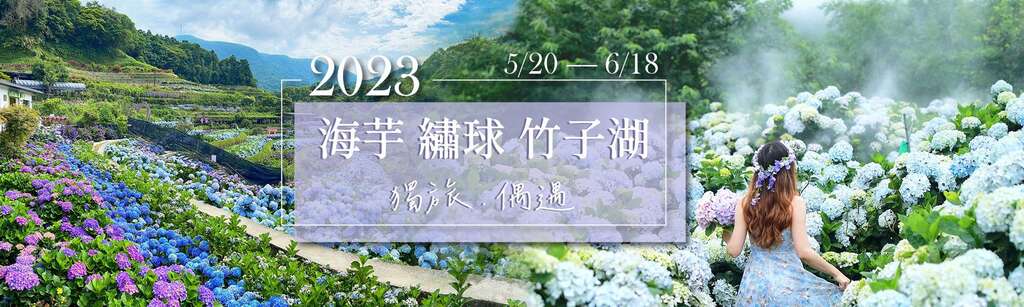2023竹子湖繡球花季(圖片來源：臺北市政府產業發展局)