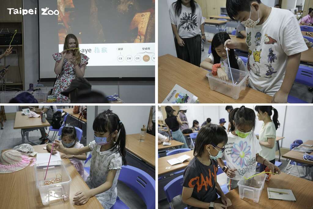 小朋友运用教具，模拟指猴用特别长的中指勾物品(图片来源：台北市立动物园)