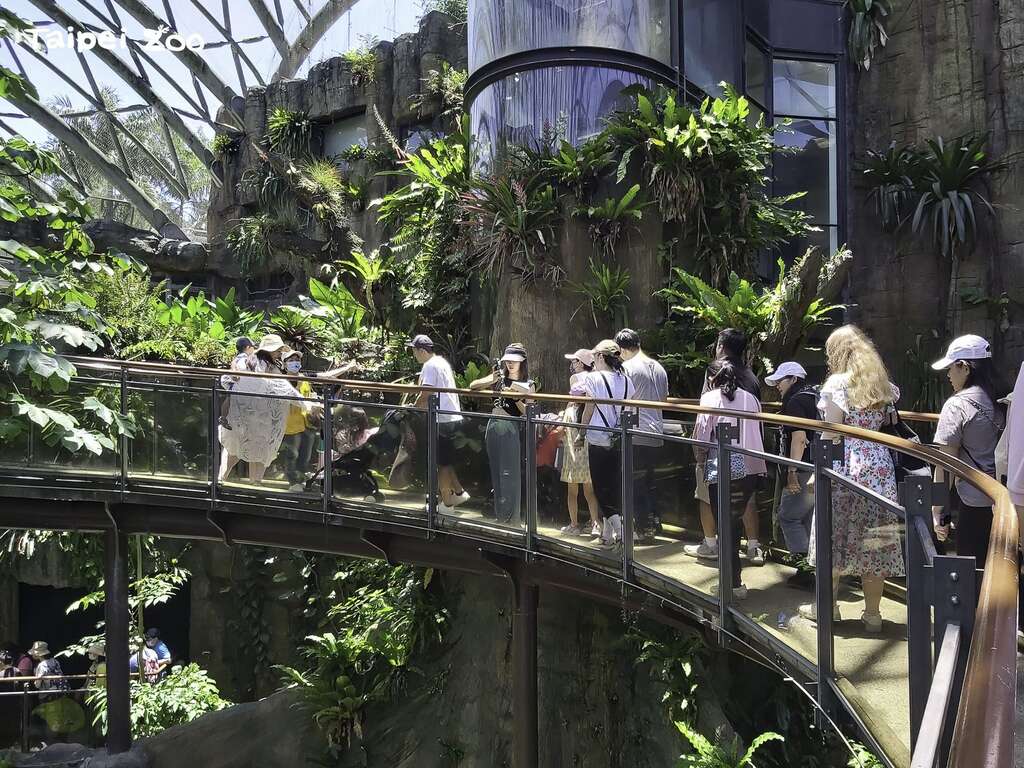 臺北市立動物園是所有大小朋友認識生物多樣性的環境教育重要場所(圖片來源：臺北市立動物園)