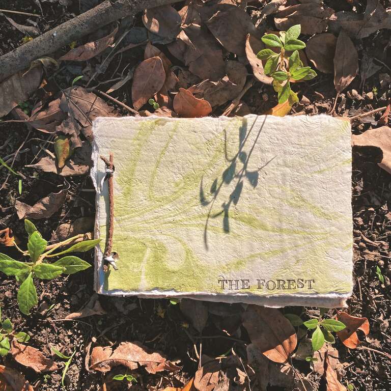 废纸变为再生手抄纸 (2)日出小姐