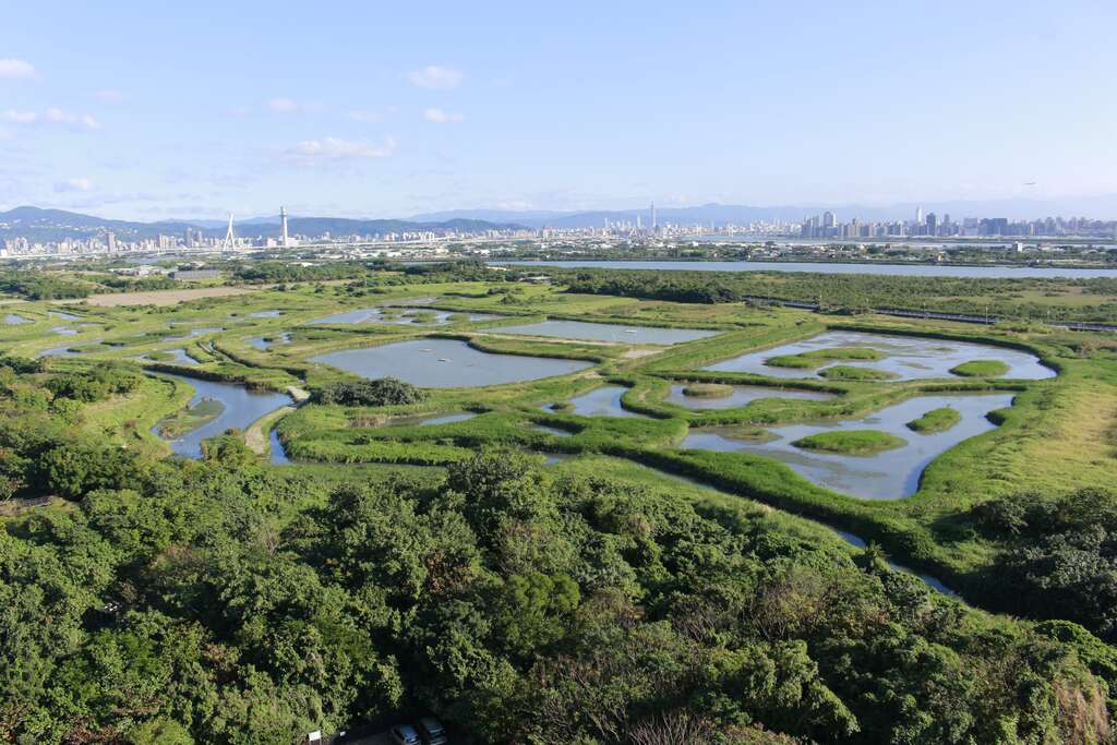 2023關渡國際自然藝術季創作場域(圖片來源：臺北市動物保護處)