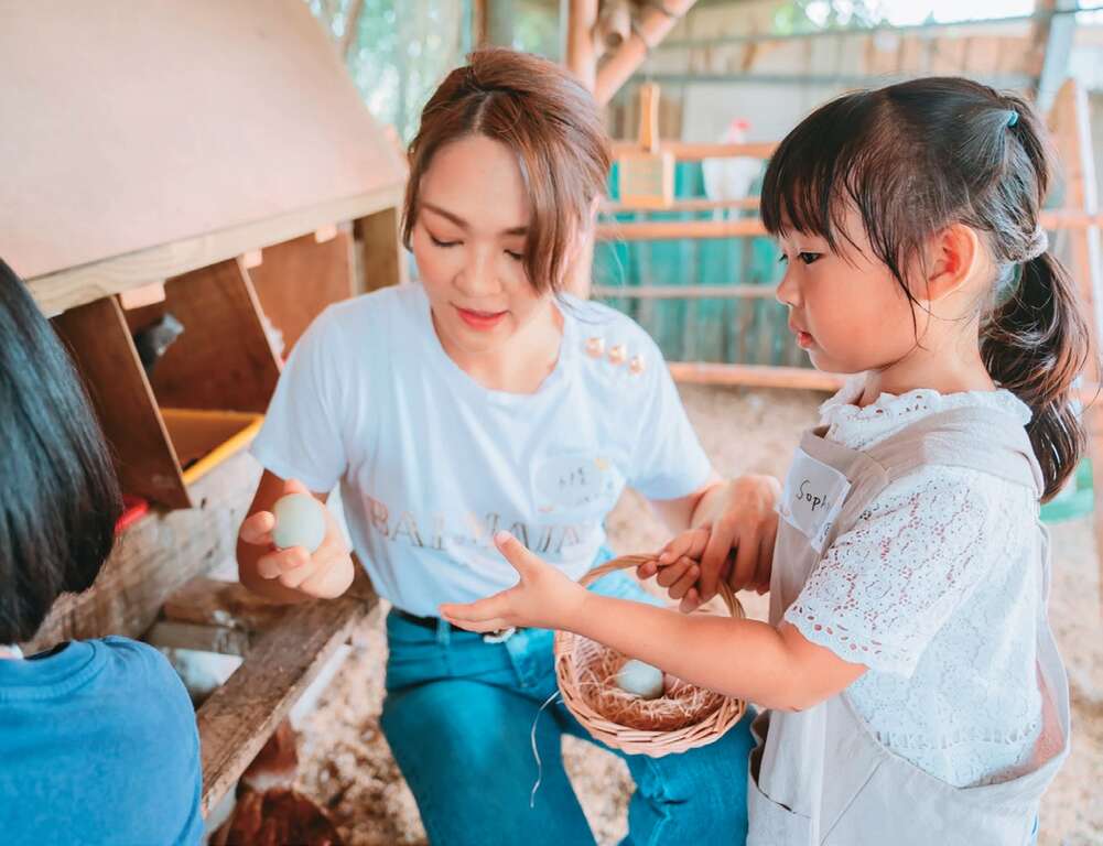 親子一起撿雞蛋，把好吃又營養的蛋帶回家。（圖／隨野家）