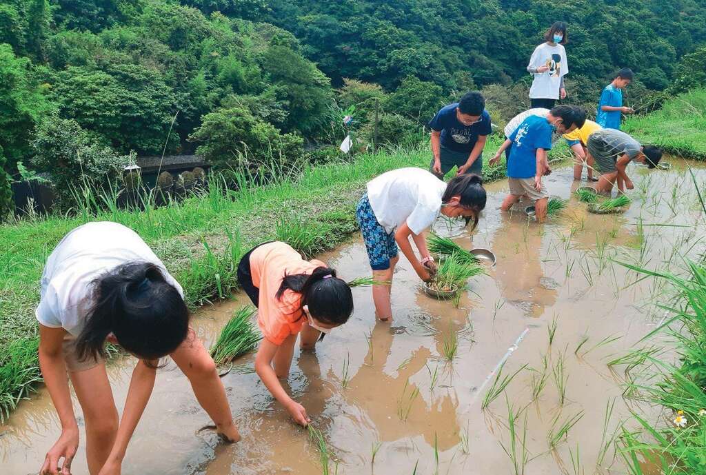 下田插秧感受農事辛勞，了解惜食的重要。（圖／竹子湖藍鵲農園）