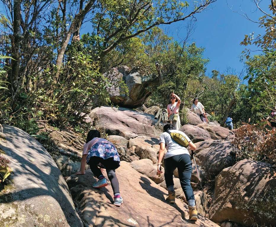 金面山亲山步道攀岩路段具有挑战性，可燃起孩子的意志力。（摄影／余业文）
