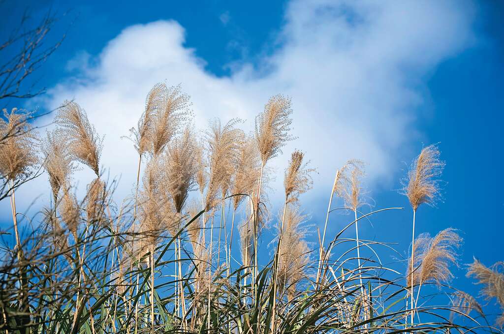 P48-51#写真 台北後花园阳明山_3
