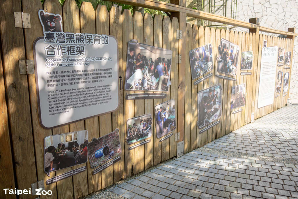 大家可以了解台湾黑熊保育的点滴(图片来源：台北市立动物园)