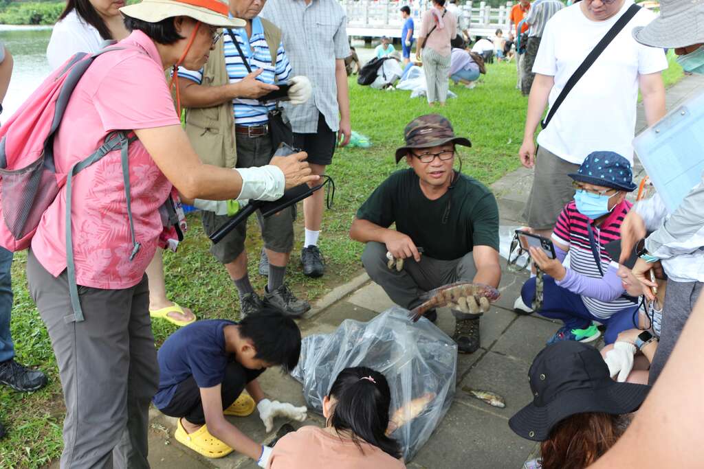 Invasive Species Removal Workshop Takes Place at Parks in Neihu District