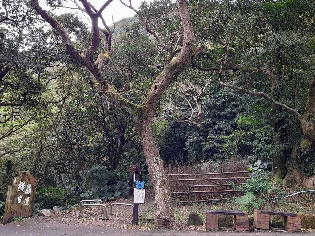 红坛广场旁是横岭古道步道口，可往阳明山公车总站搭车(图片来源：台北市政府工务局大地工程处)