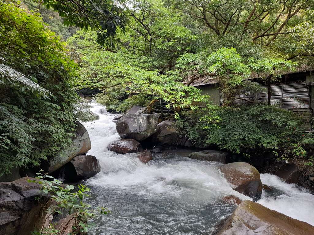 [2023 Taipei Grand Trail Ecotour Tour] Explore Hiking Trails in Yangmingshan