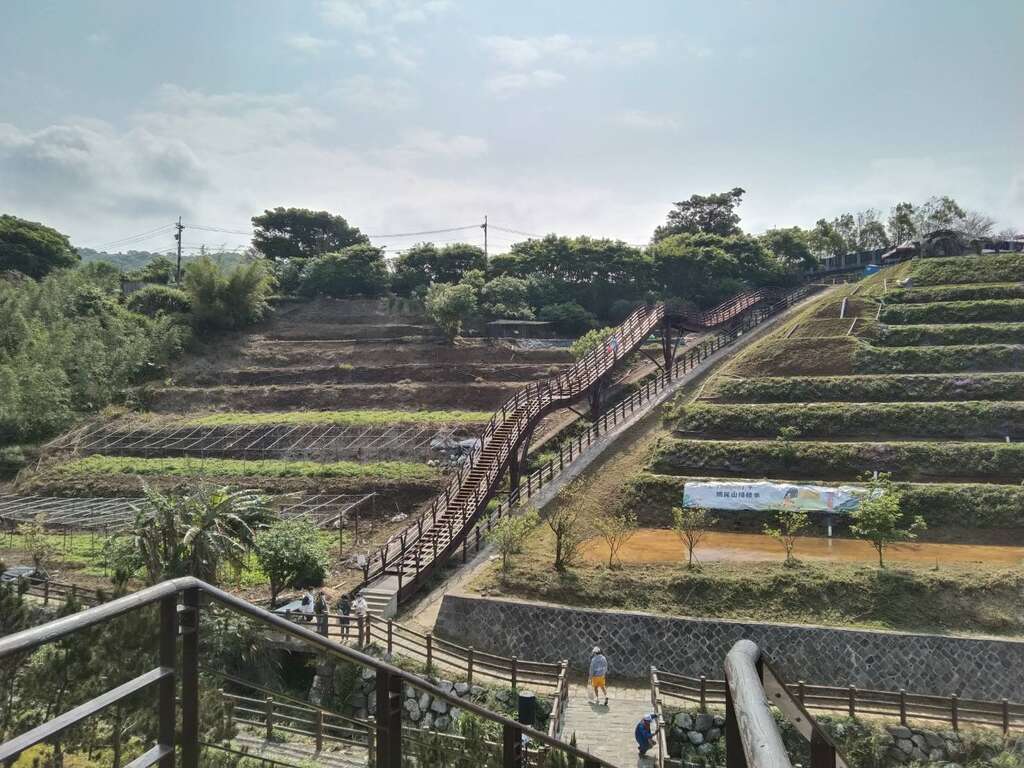 以稻谷随风摇曳为灵感设计出风格独特的「稻浪栈桥」(图片来源：台北市政府工务局大地工程处)