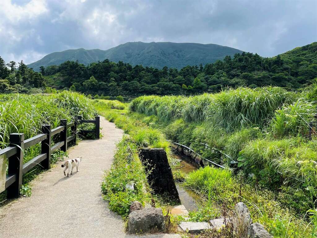 顶湖环状步道(图片来源：台北市政府工务局大地工程处)