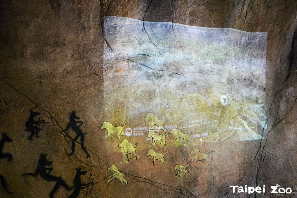 隧道中利用声光投影增加视听体验(图片来源：台北市立动物园)