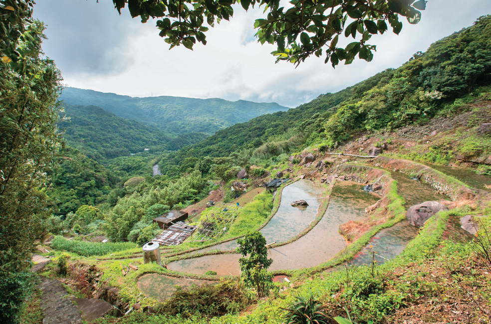 P06-09 大地系农游-2