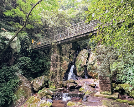 台湾好行「北投——竹子湖线」三大游程主题