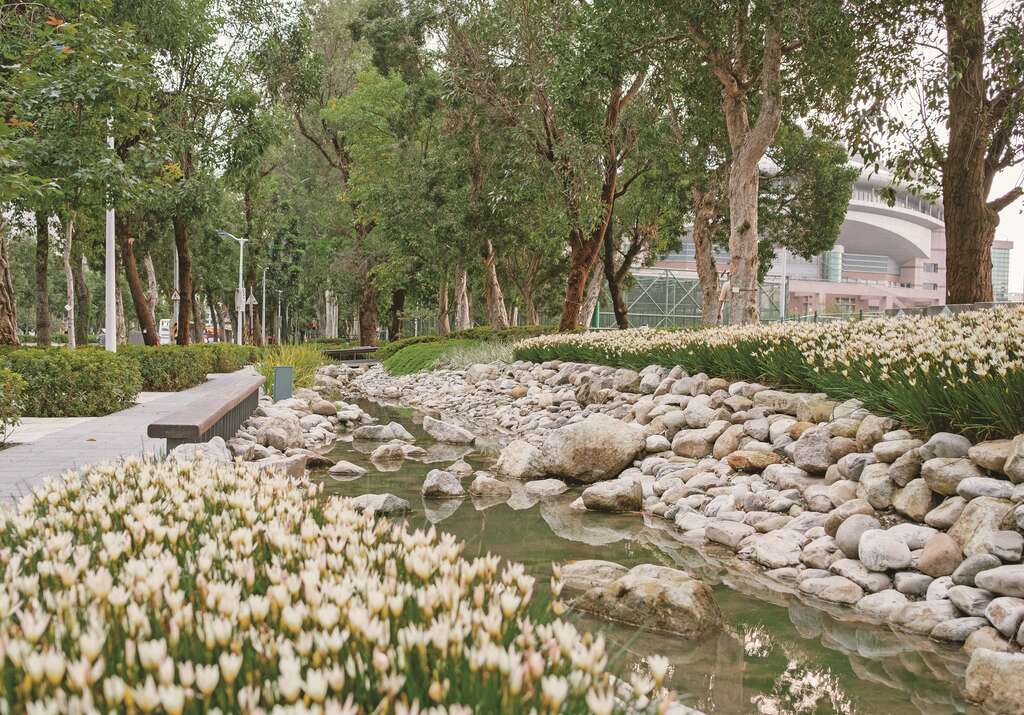 P32 圖4_新生南路三段水圳為生活增添許多綠意。（圖／台北市工務局）