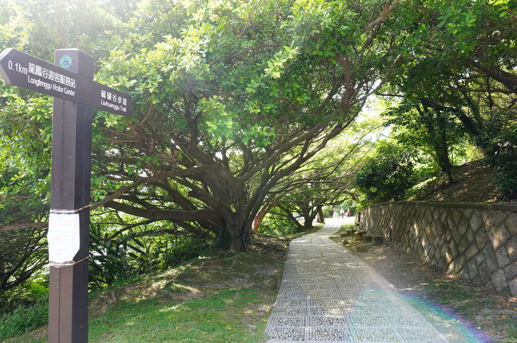 Pseudo-overseas Travel: A Relaxing Stress-Relief Getaway