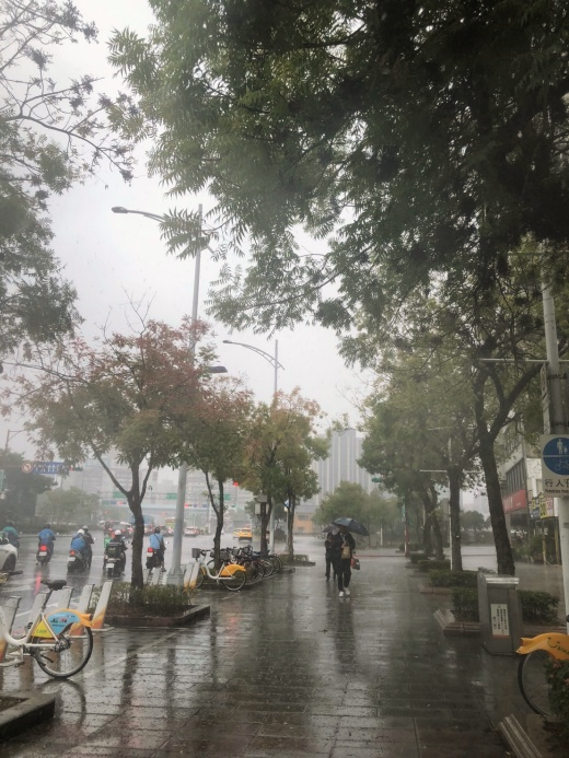 雨中漫步或骑乘感受黄连木林荫大道(图片来源：台北市政府工务局公园路灯工程管理处)