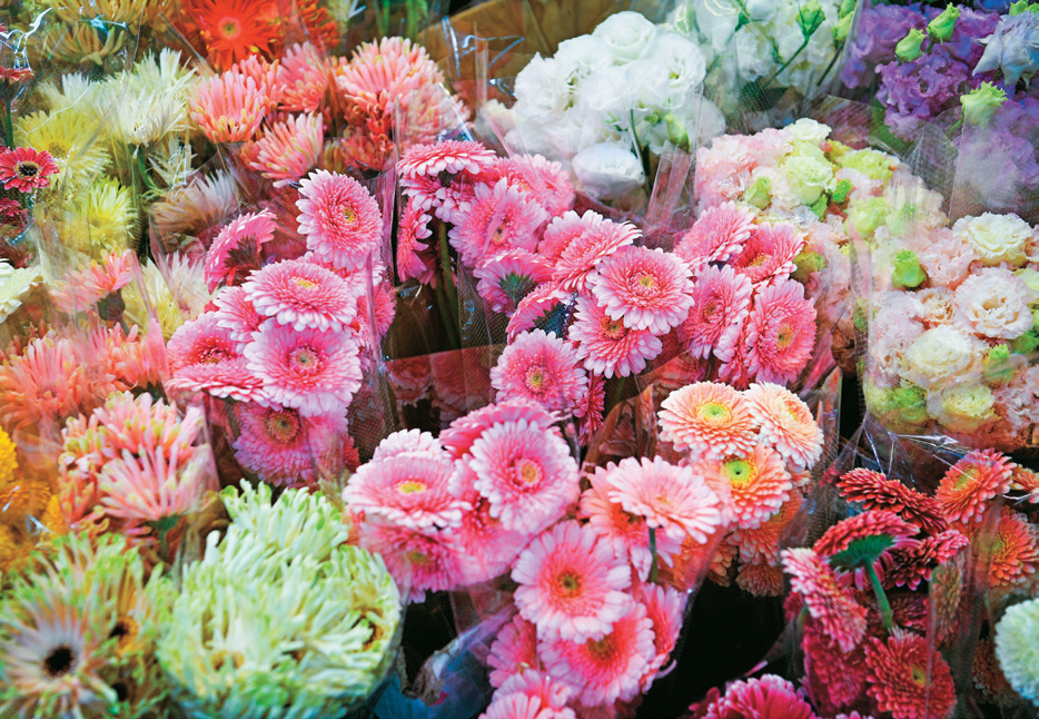 年节期间，花型圆润、颜色鲜艳的菊花广受欢迎。