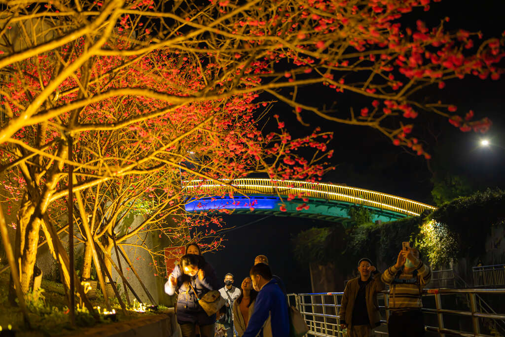 P53_1_内沟溪樱花步道举办的夜樱点灯活动，氛围浪漫。@台北工务局