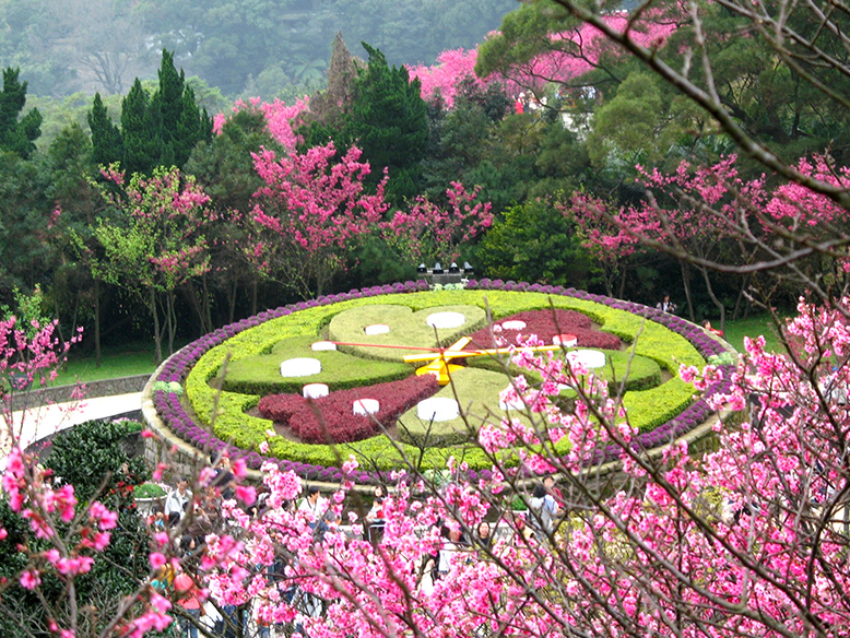 P54_阳明山花钟是阳明山的热门赏花景点。@台北工务局