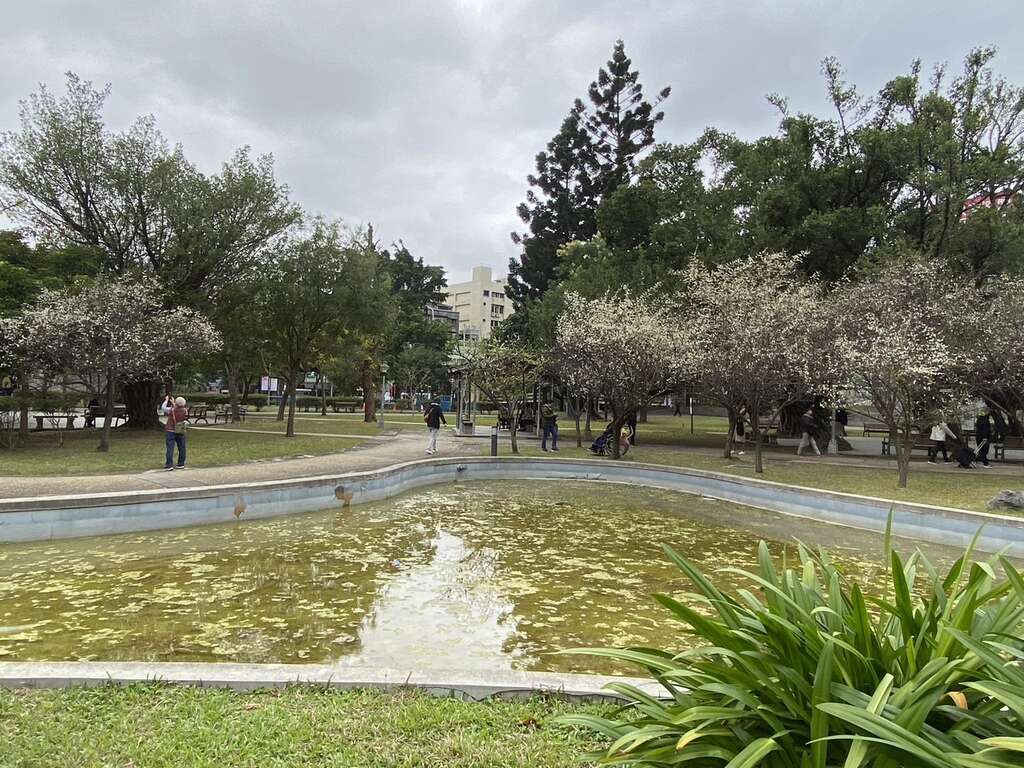 想要賞梅，又不想人擠人，推薦您前往榮星花園公園進行尋芳小旅行(圖片來源：臺北市政府工務局公園路燈工程管理處)