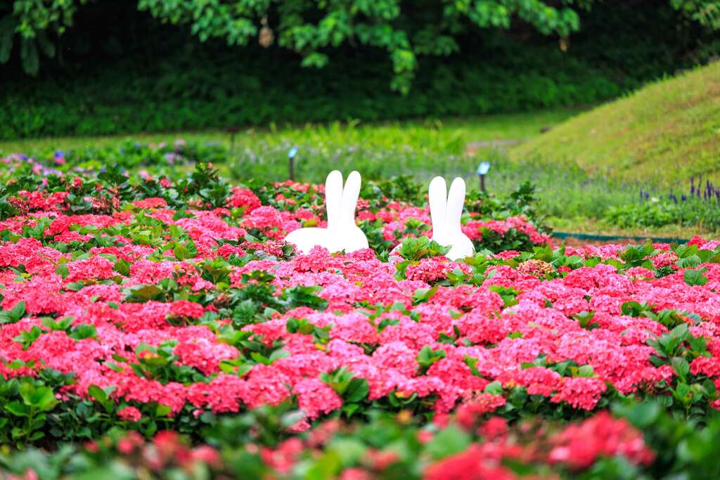 Celebrate the New Year at an Enchanting Destination Be Mesmerized by a Sea of Hydrangeas in Neihu District
