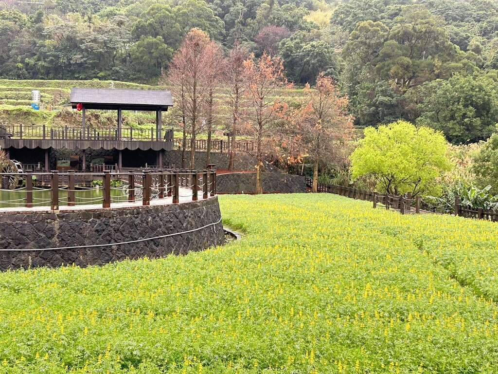 樟树步道-明镜池(图片来源：台北市政府工务局大地工程处)