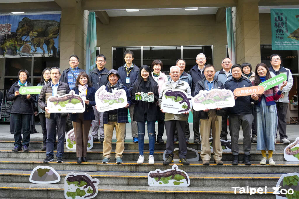 揭开台湾山椒鱼的生态众志成城需要产官学从栖地到科技的研究努力(图片来源：台北市立动物园)