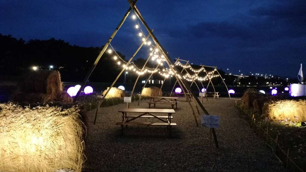 Tents adorned with strings of lights bring a romantic touch to the sea of flowers