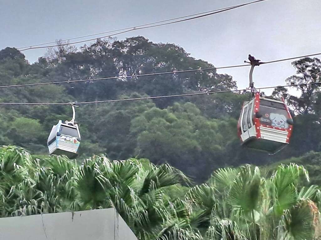 臺北捷運去年推出「寵物專車」(圖片來源：臺北大眾捷運股份有限公司)