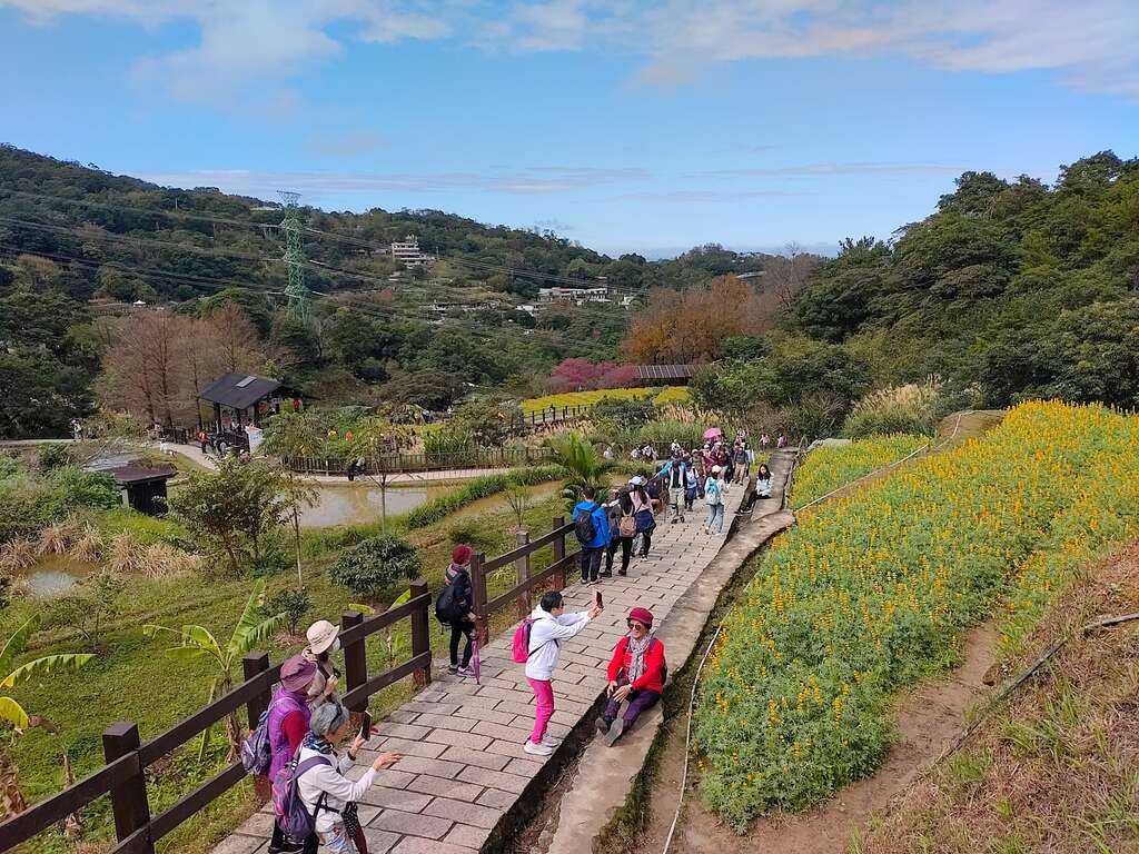 樟树步道花海(图片来源：台北市政府工务局大地工程处)