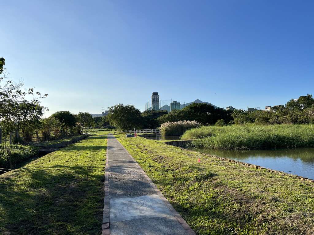 心濕地風光(圖片來源：臺北市動物保護處)