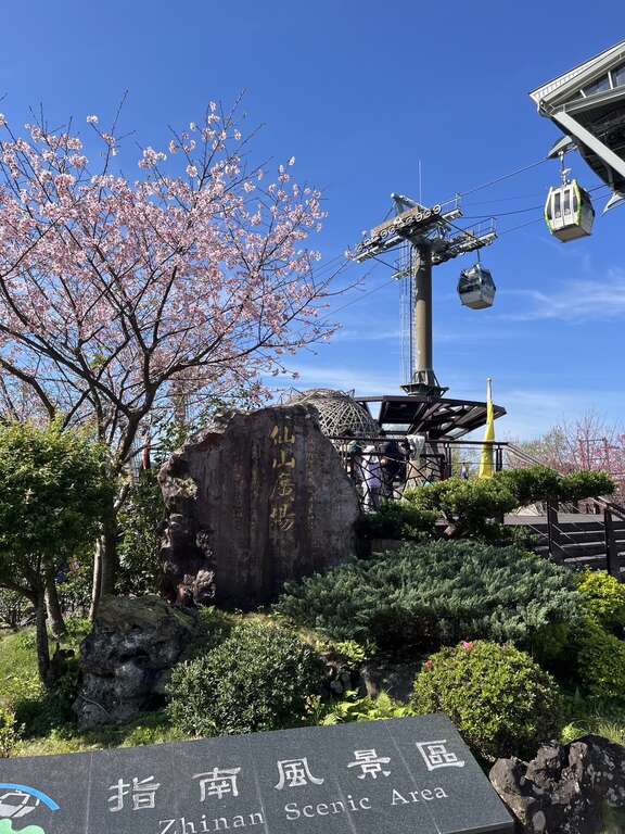 指南风景区赏樱花美景(图片来源：台北市政府工务局大地工程处)