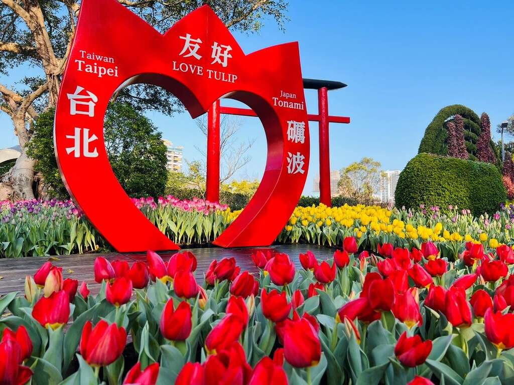 台日友好合作已邁入第六個年頭，讓市民們可在台北看到日本特有種的鬱金香(圖片來源：臺北市政府工務局公園路燈工程管理處)