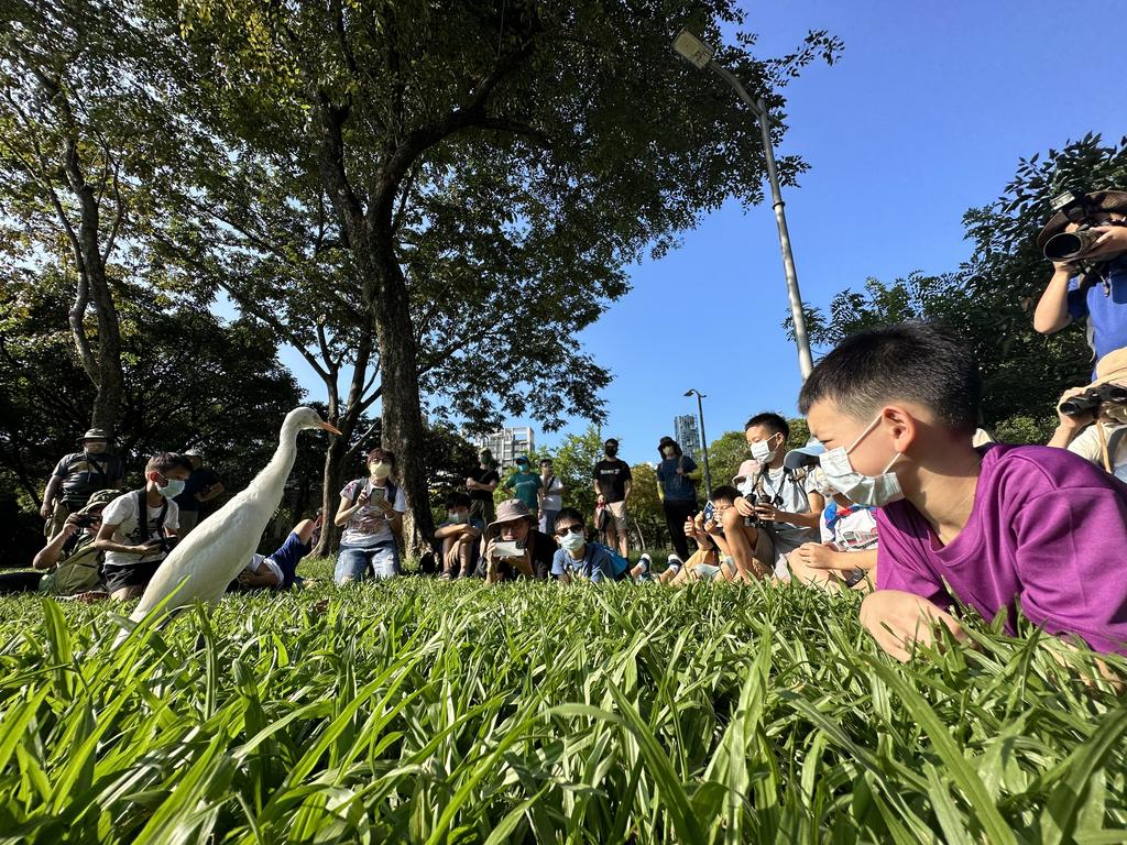 春日不妨带着孩子至大安森林公园观察自然生态。（摄影／黄一峯）