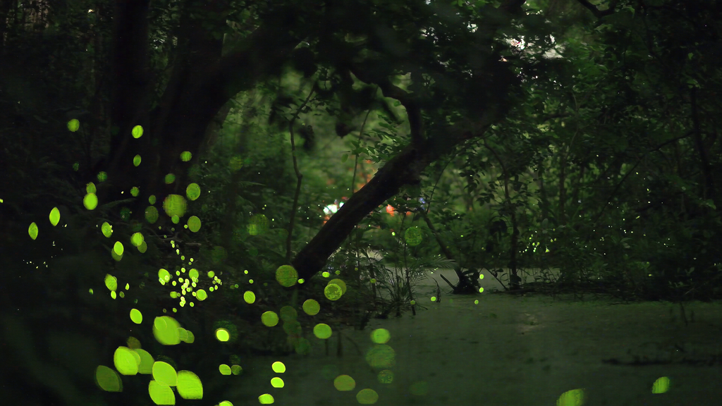 榮星花園公園夜間閃閃發光(圖片來源：臺北市政府工務局公園路燈工程管理處)