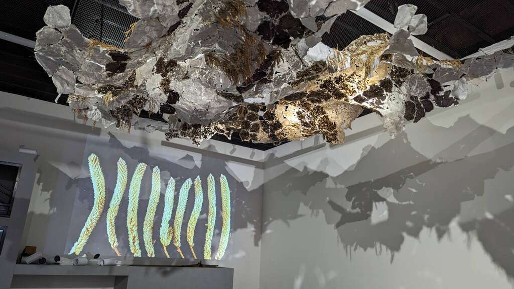 作品5-植物动画合辑(图片来源：台北市政府客家事务委员会)