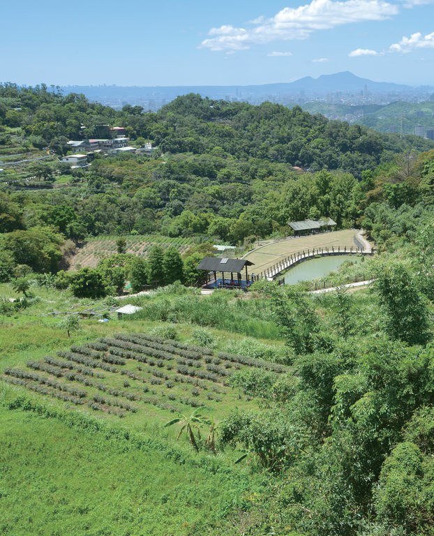 在猫空漫游可见优美山景及农家茶园风光。（摄影／李智为）
