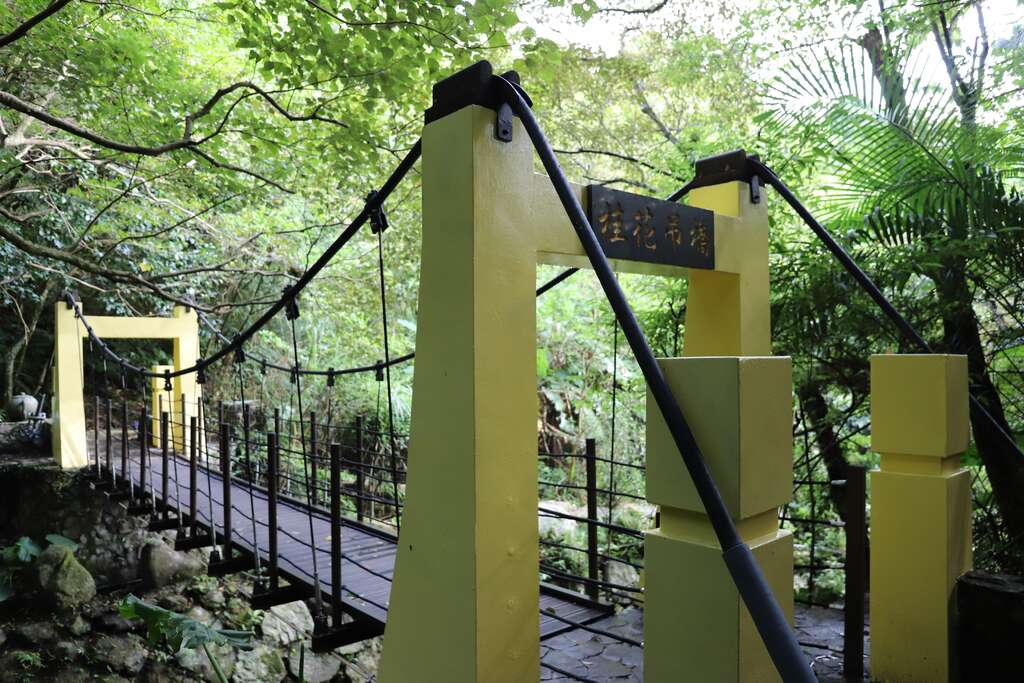 南港桂花林步道的桂花吊桥(图片来源：台北市政府工务局大地工程处)