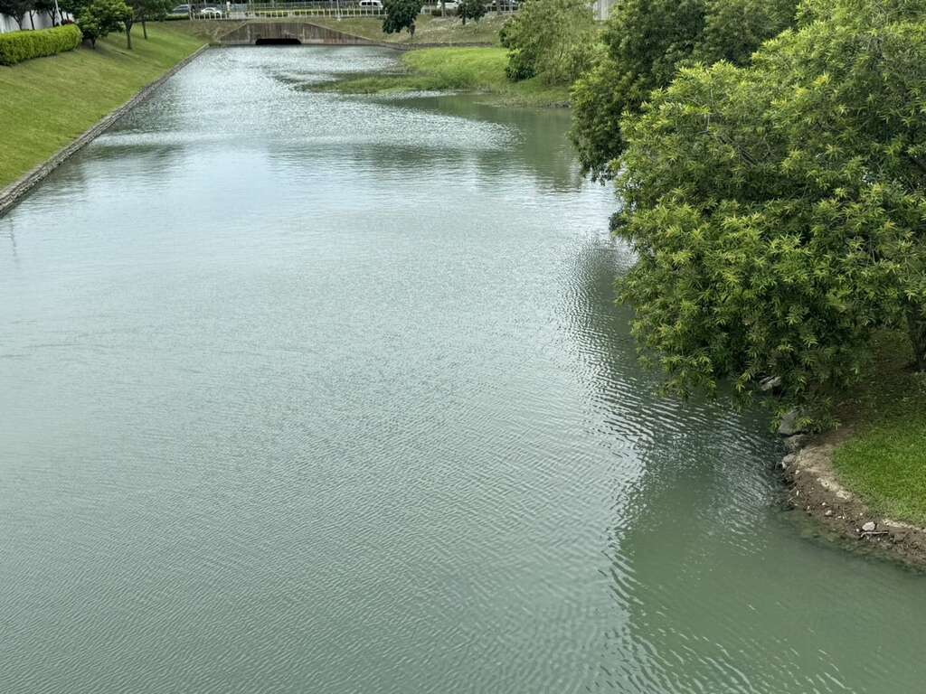 波光粼粼寧靜的濕地(圖片來源：臺北市政府工務局公園路燈工程管理處)